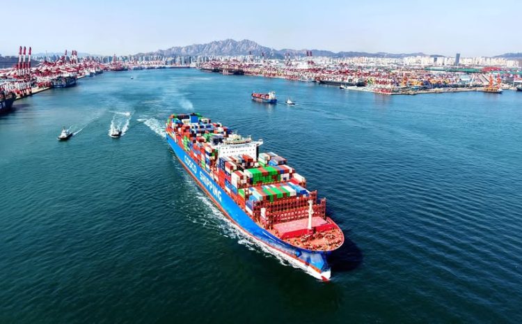 The “Zero-Tariff” Gateway: How African SMEs Can Pivot to the Chinese Market Today